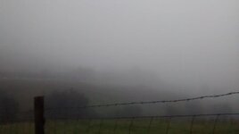 IMG_20150908_200623591.jpg