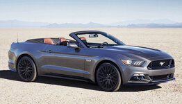Mustang.jpg