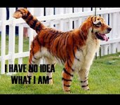 WhatAmI-18432.jpg