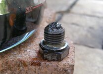 Filler plug - filings.jpg