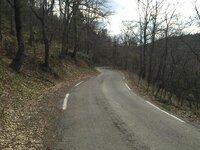 Road near Collobriere.jpg