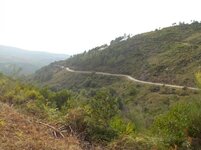 DSCN0690.jpg
