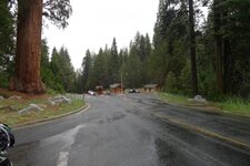 Kings Canyon.jpg