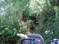 DSC03136.jpg