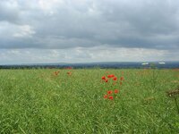 DSC03129.jpg