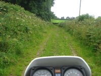 DSC03142.jpg