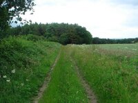 DSC03159.jpg