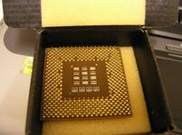 chip 2.jpg
