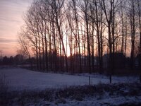 img_0058.jpg