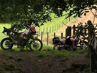 IMG_5392.jpg
