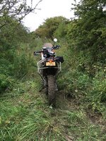 IMG_5397.jpg