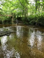 IMG_5398.jpg