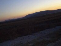 DSC01113.jpg