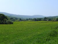 P1000917.jpg