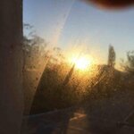 IMG_5047.jpg