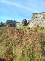 IMG_20161002_105654.jpg