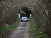 DSCF1045.JPG