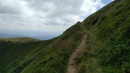 IMG_20160805_130513.jpg