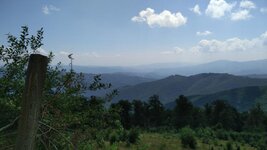 IMG_20160805_135341.jpg