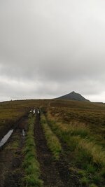 IMG_20160802_164419.jpg