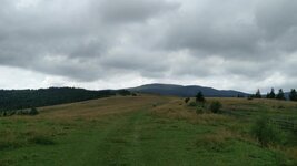 IMG_20160802_134852.jpg