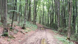 IMG_20160802_141509.jpg