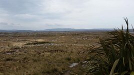 20160508_155040.jpg