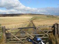 DSC02894.jpg