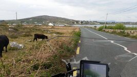 20160508_165251.jpg