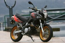 aprilia-pegaso-650-factory-03.jpg