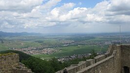 IMG_9127.jpg