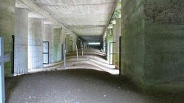 IMG_9178.jpg