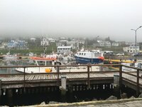 IMG_5177.jpg