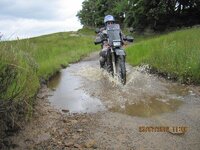 IMG_1473.jpg