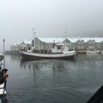 IMG_5204.jpg