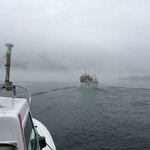 IMG_5205.jpg