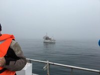 IMG_5211.jpg
