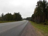 DSCN2810.jpg