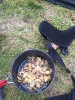 IMG_5259.JPG