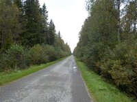 DSCN2874.jpg