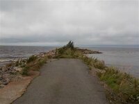 DSCN2875.jpg