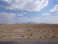 DSC01341.jpg