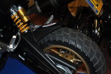 DSC_1479 - Copy.JPG