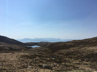 IMG_5325_2.jpg