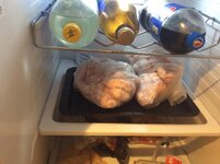 IMG_1146.jpg