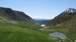 IMG_9521.jpg