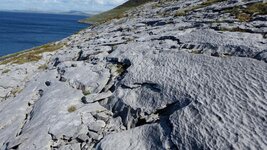 20160521_164938.jpg