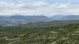 IMG_9550.jpg