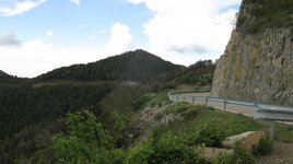 IMG_9499.jpg