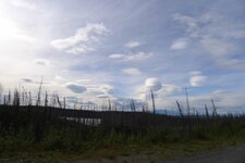 Cassiar.jpg